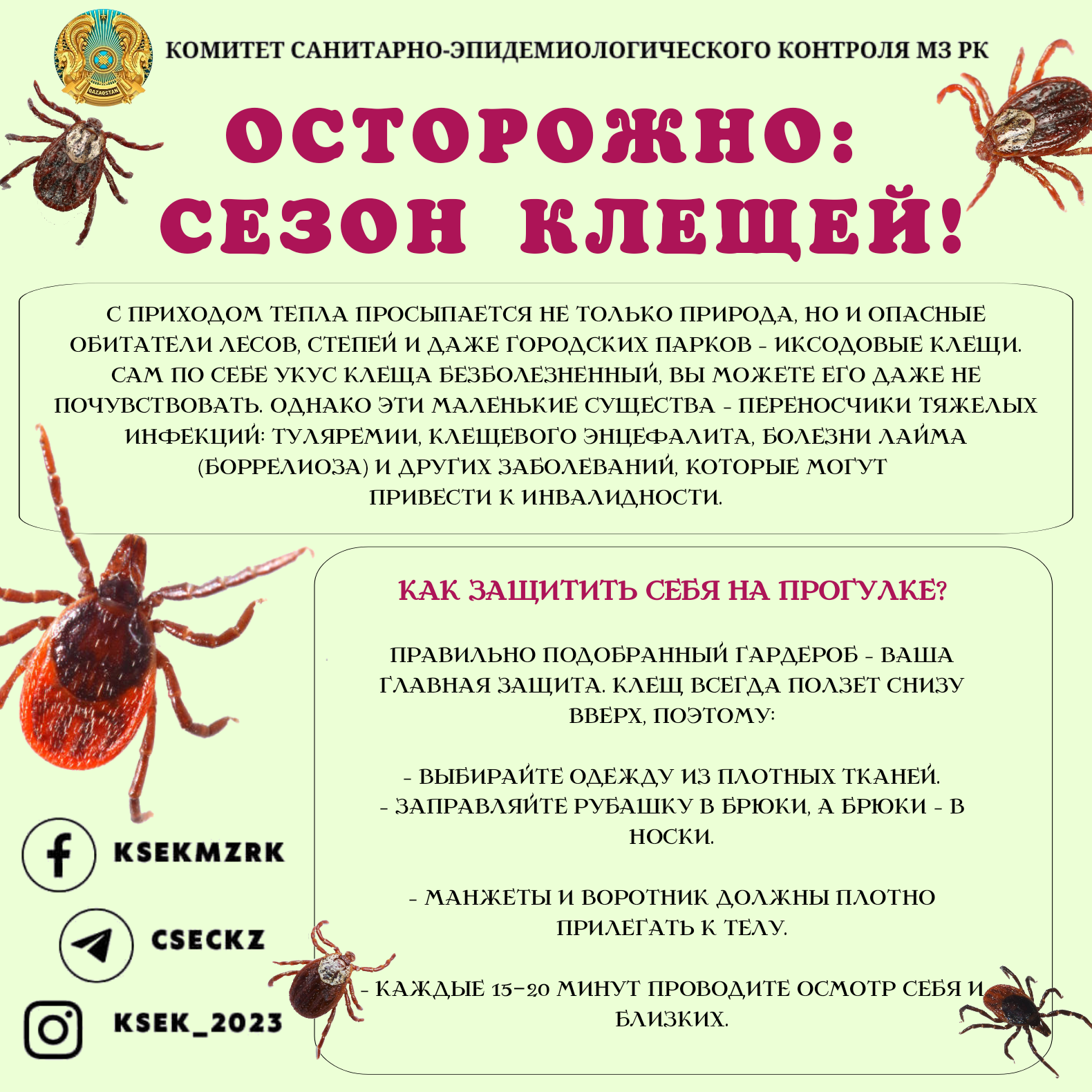 Осторожно: сезон клещей!