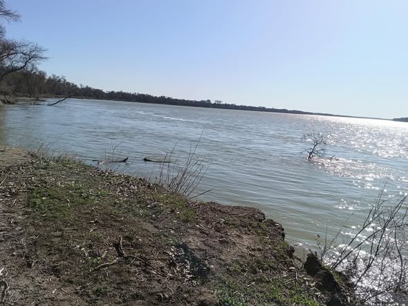 ТҮРКІСТАН ОБЛЫСЫНДА ШІРКЕЙГЕ ҚАРСЫ ҒЫЛЫМИ НЕГІЗДЕГІ МОНИТОРИНГ КҮШЕЙТІЛДІ