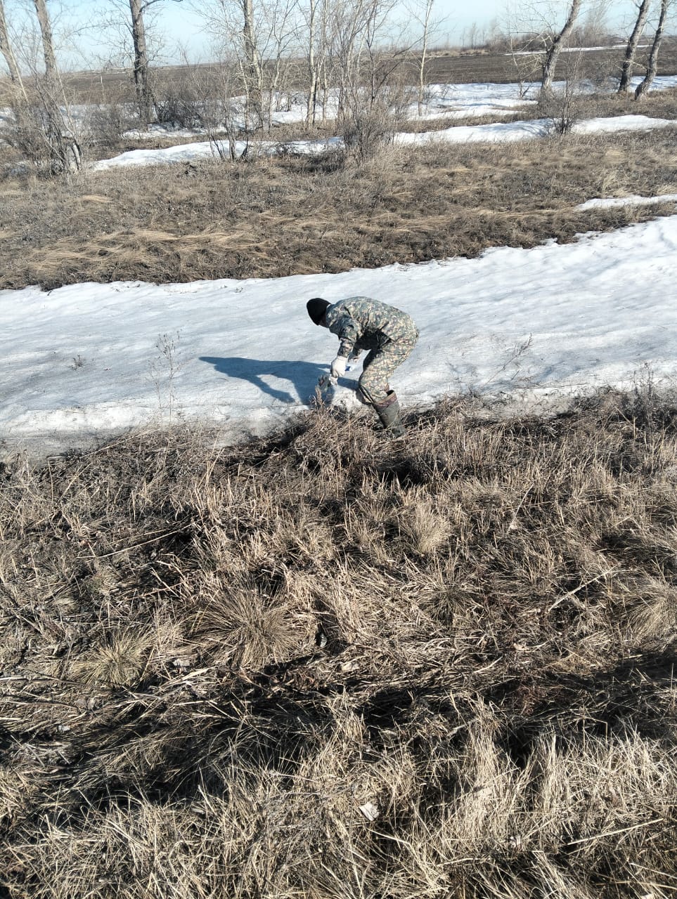 #тазақазақстан🇰🇿&nbsp;#