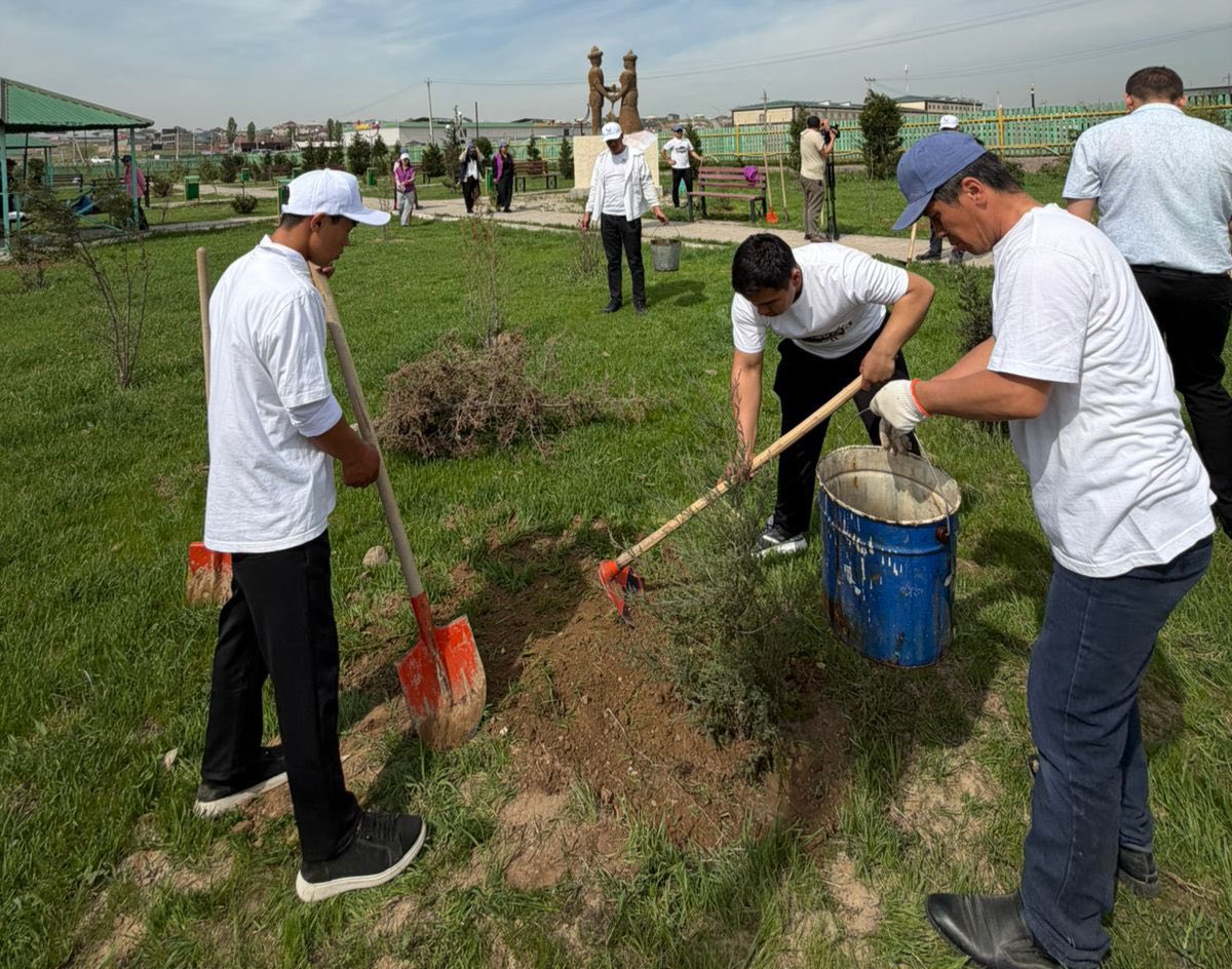 ТҮРКІСТАН ОБЛЫСЫНДА «ТАЗА ҚАЗАҚСТАН» ЖОБАСЫ АЯСЫНДА КӨГАЛДАНДЫРУ ЖҰМЫСТАРЫ ЖҮРГІЗІЛДІ