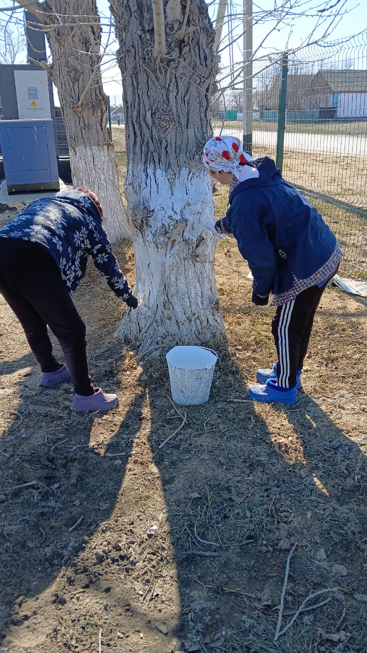 Новоселов ауылдық округінде сенбілік