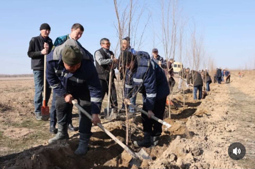 🌿 Туған жерге тағзым – болашаққа аманат! 🌿