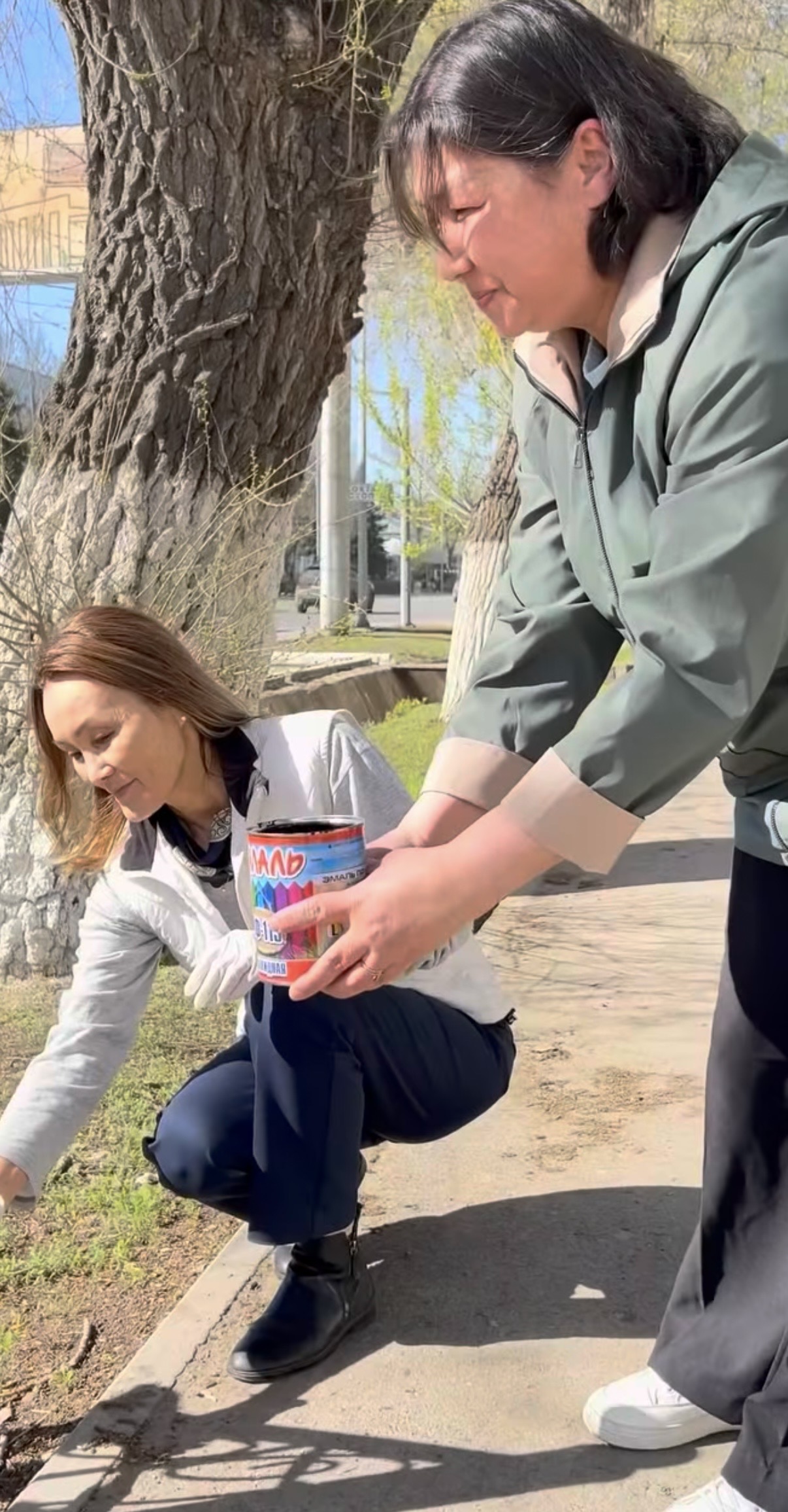 Проведен субботник