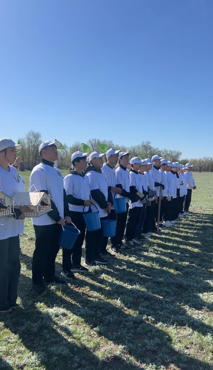 МЕКТЕП ОРМАНШЫЛЫҒЫ