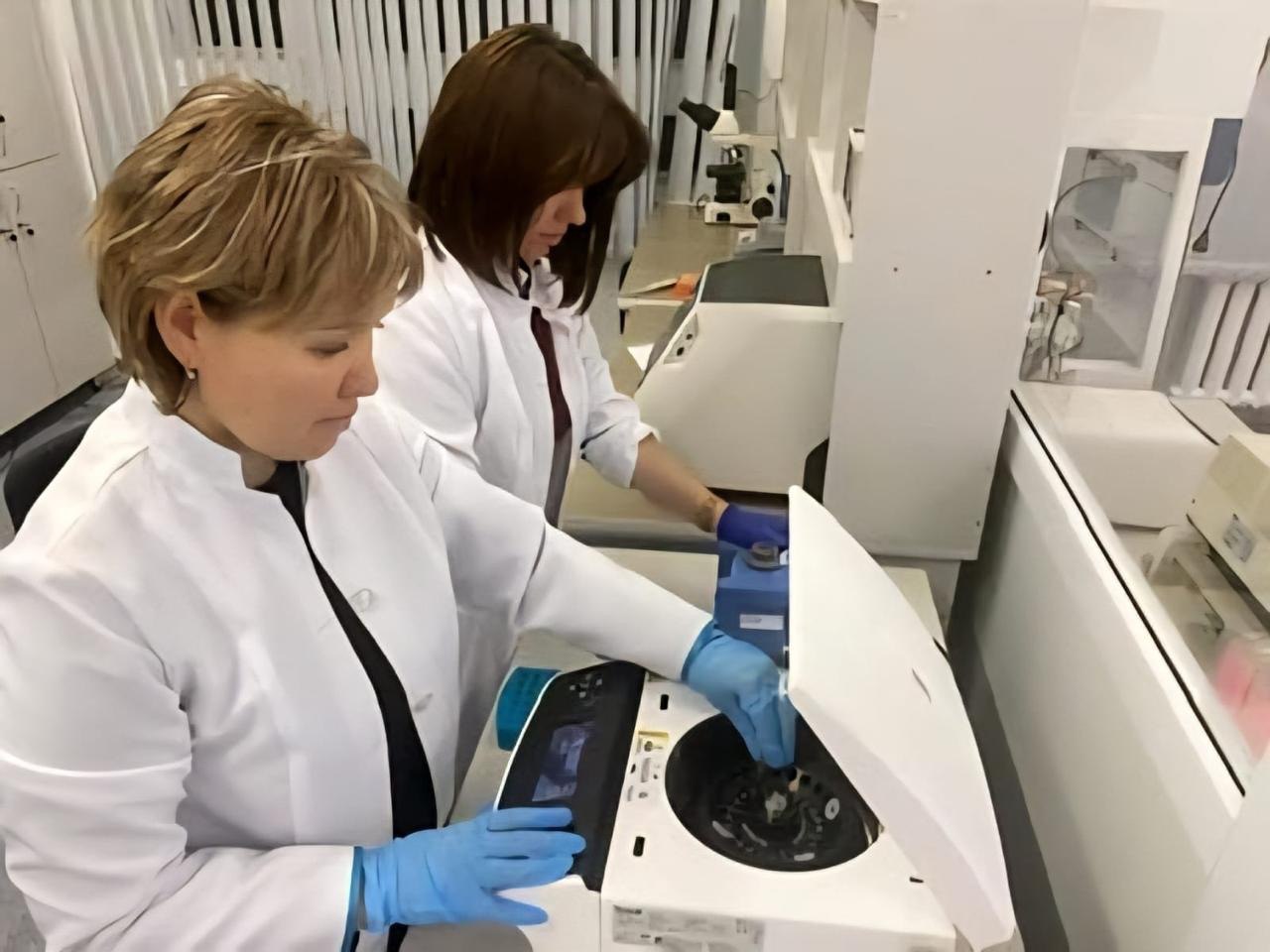 Казахстанские ученые запатентовали засухоустойчивые сорта с прибавкой урожайности до 10 ц/га