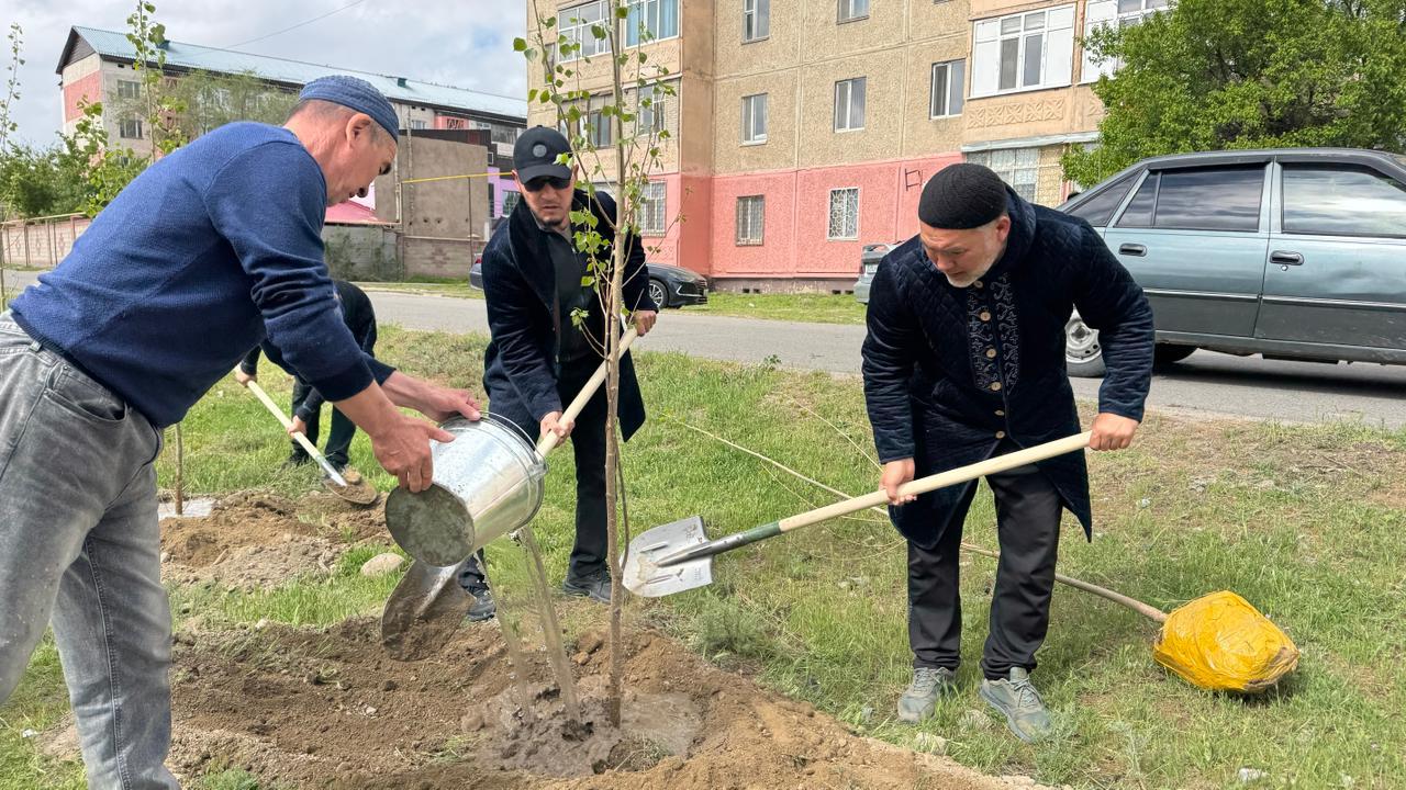 "Таза Қазақстан": Таразда 215 түп тал егілді