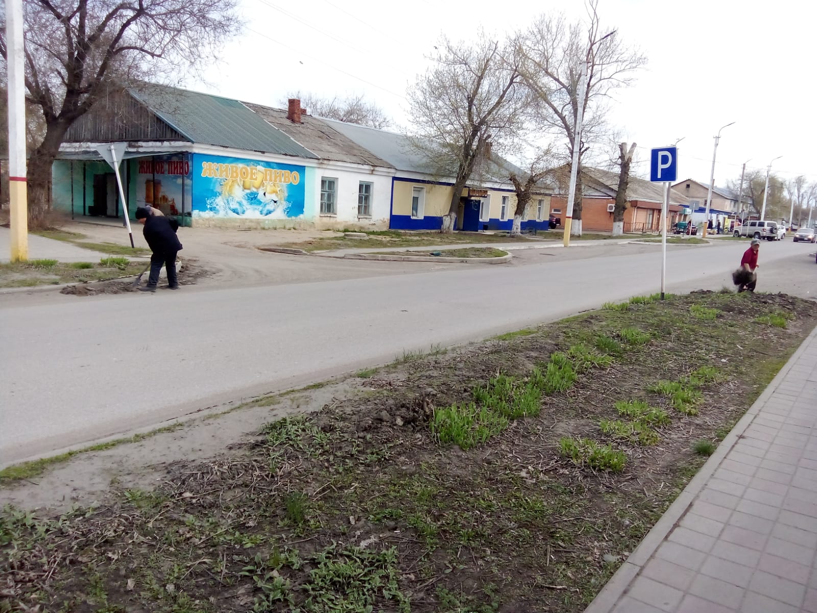 Орталық көшені тазарту