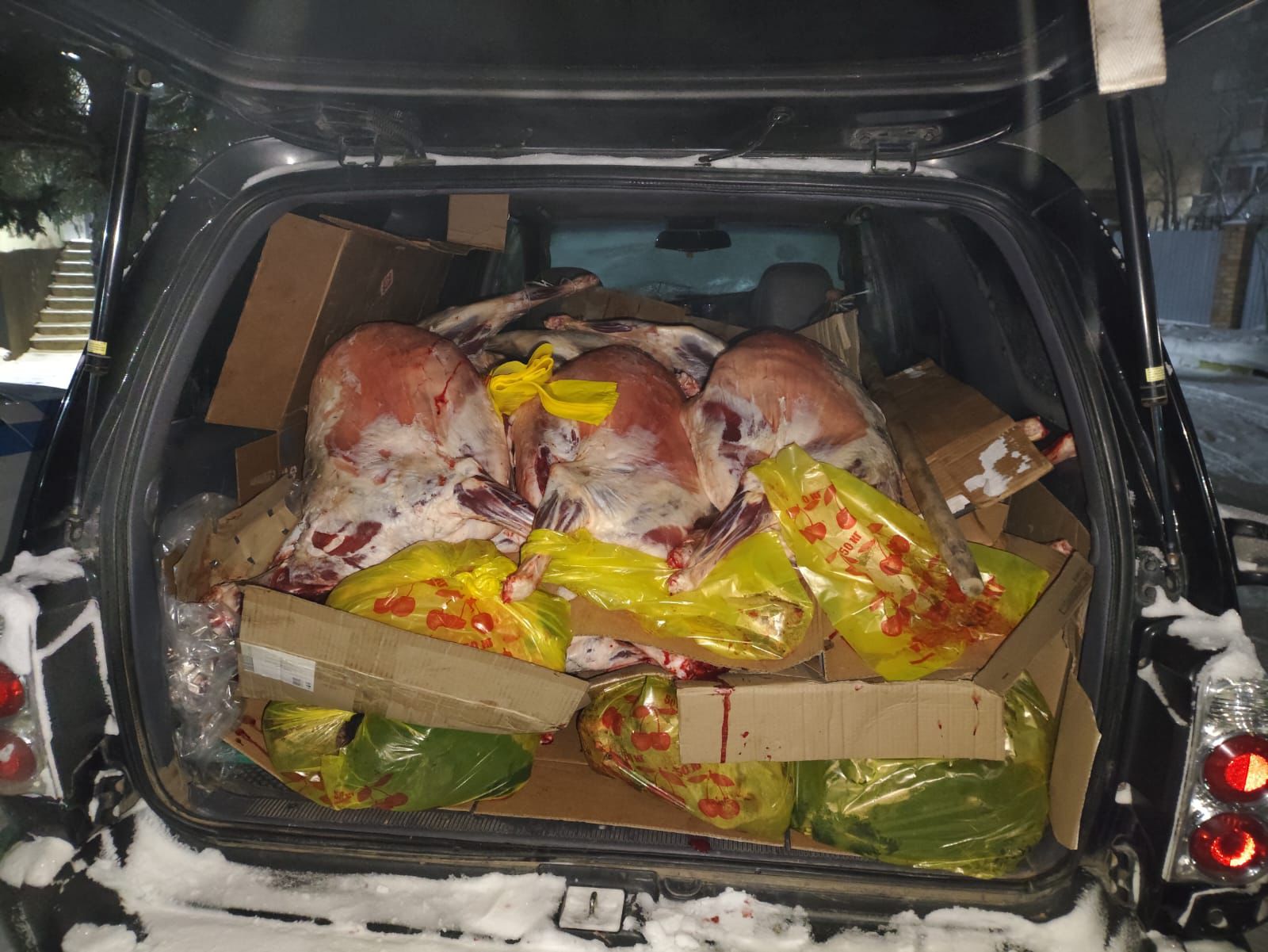 ШҚО полицейлері құжатсыз тасымалданған ірі көлемдегі ет өнімдерін анықтады