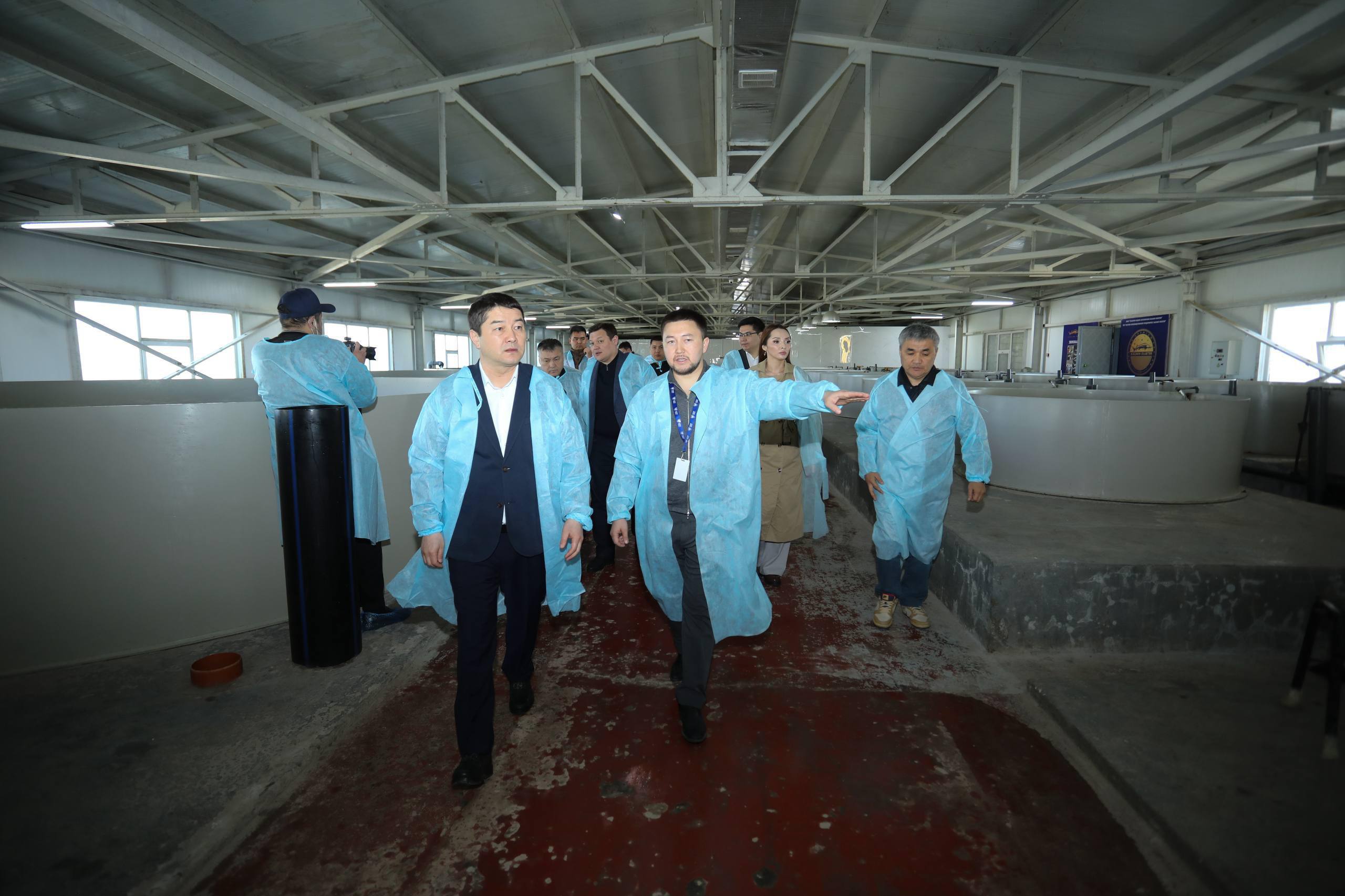 Маңғыстауда балық шаруашылығын дамытуға бағытталған стратегиялық инновациялық жоба жүзеге асырылуда