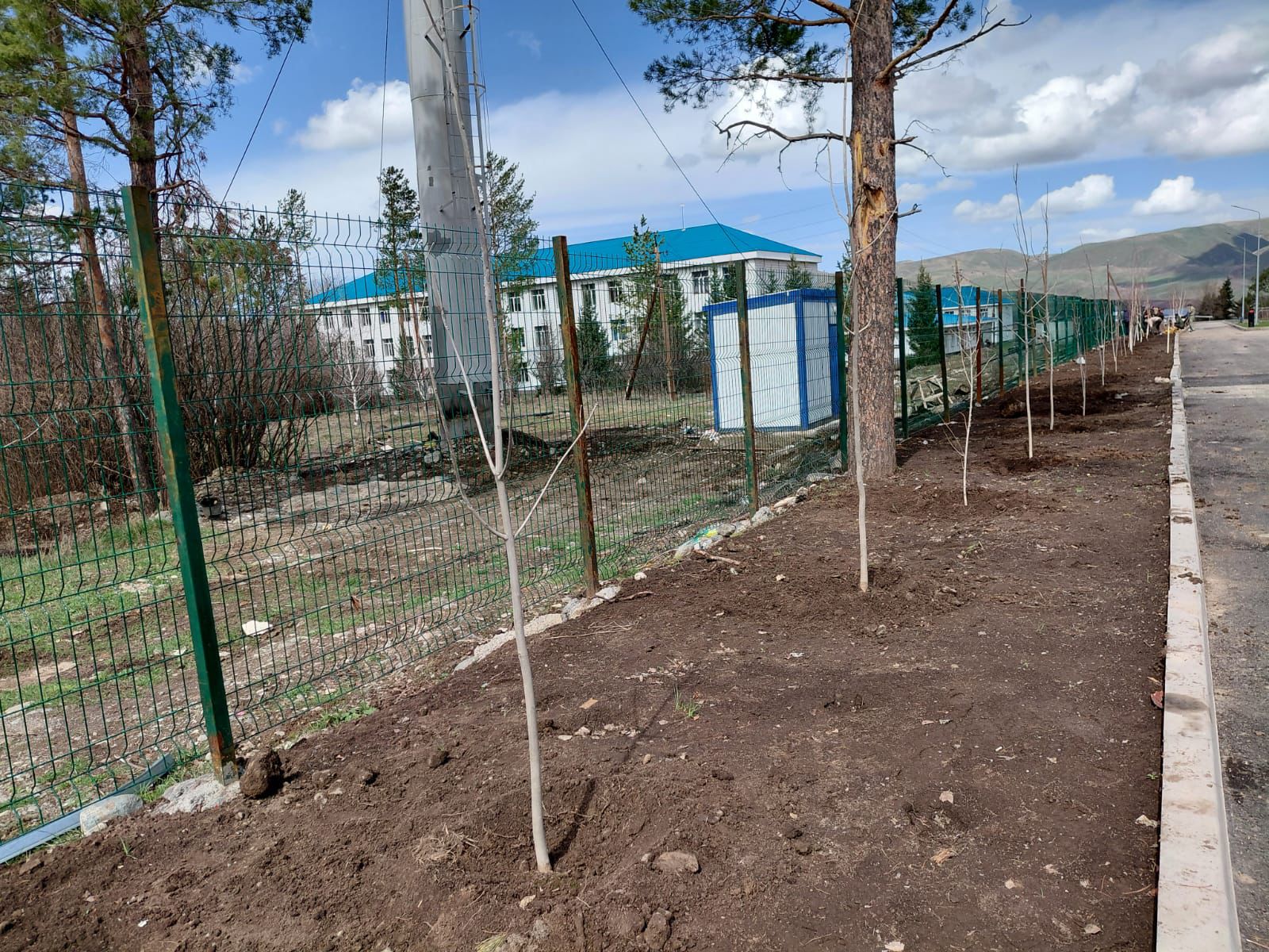 Лепсі ауылында ағаш отырғызу жұмыстары жүргізілді