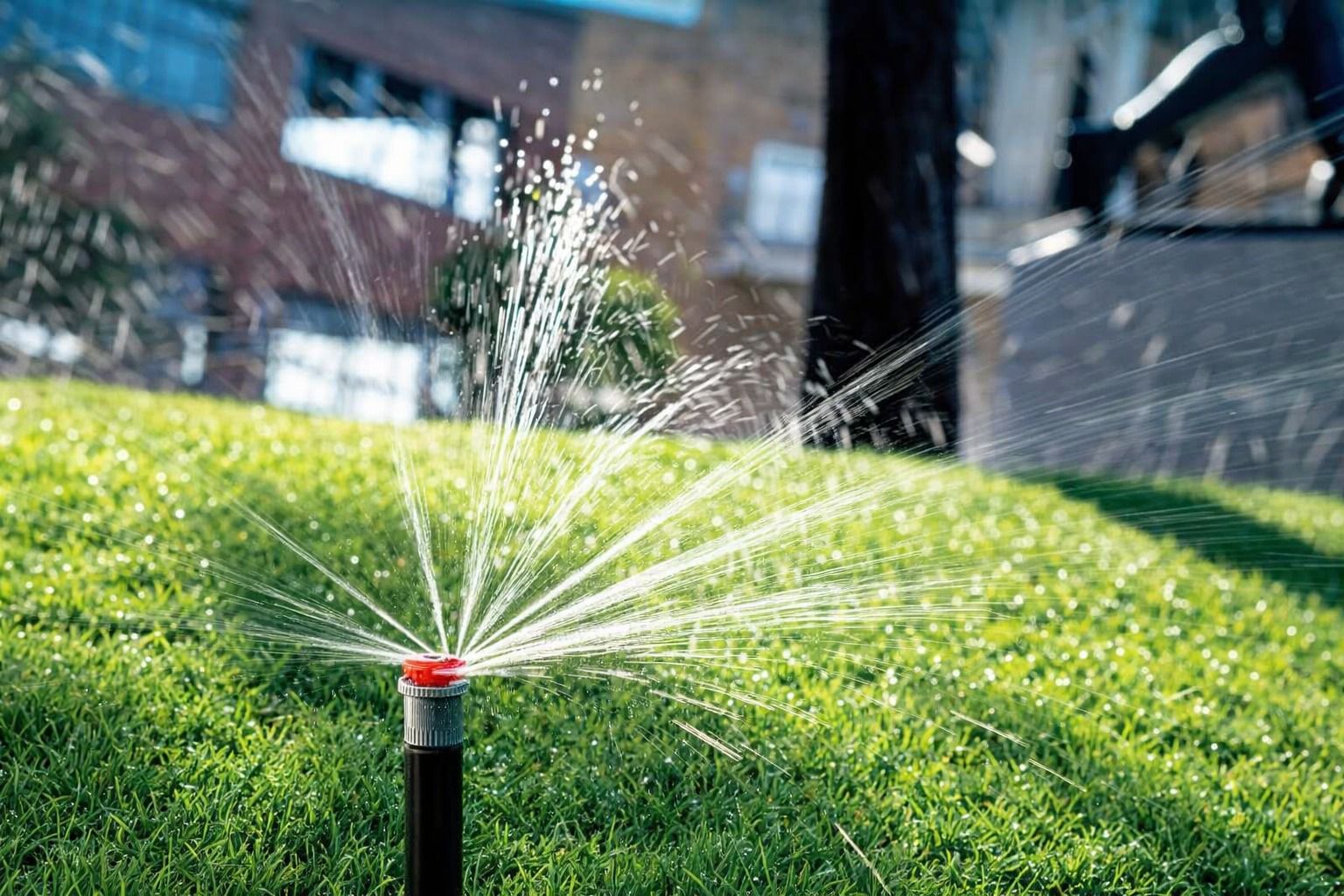 Алматының Медеу ауданы автосуару жүйесі дамытуды қолға алды