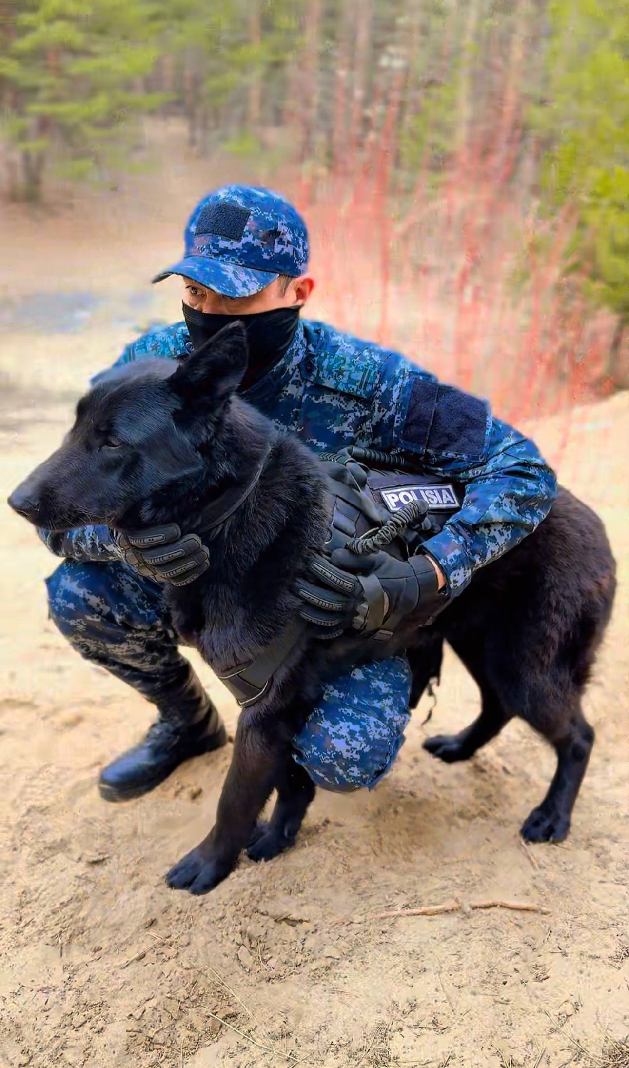 Абай облысында жыл басынан бері қызметтік иттердің көмегімен 31 іс ашылды