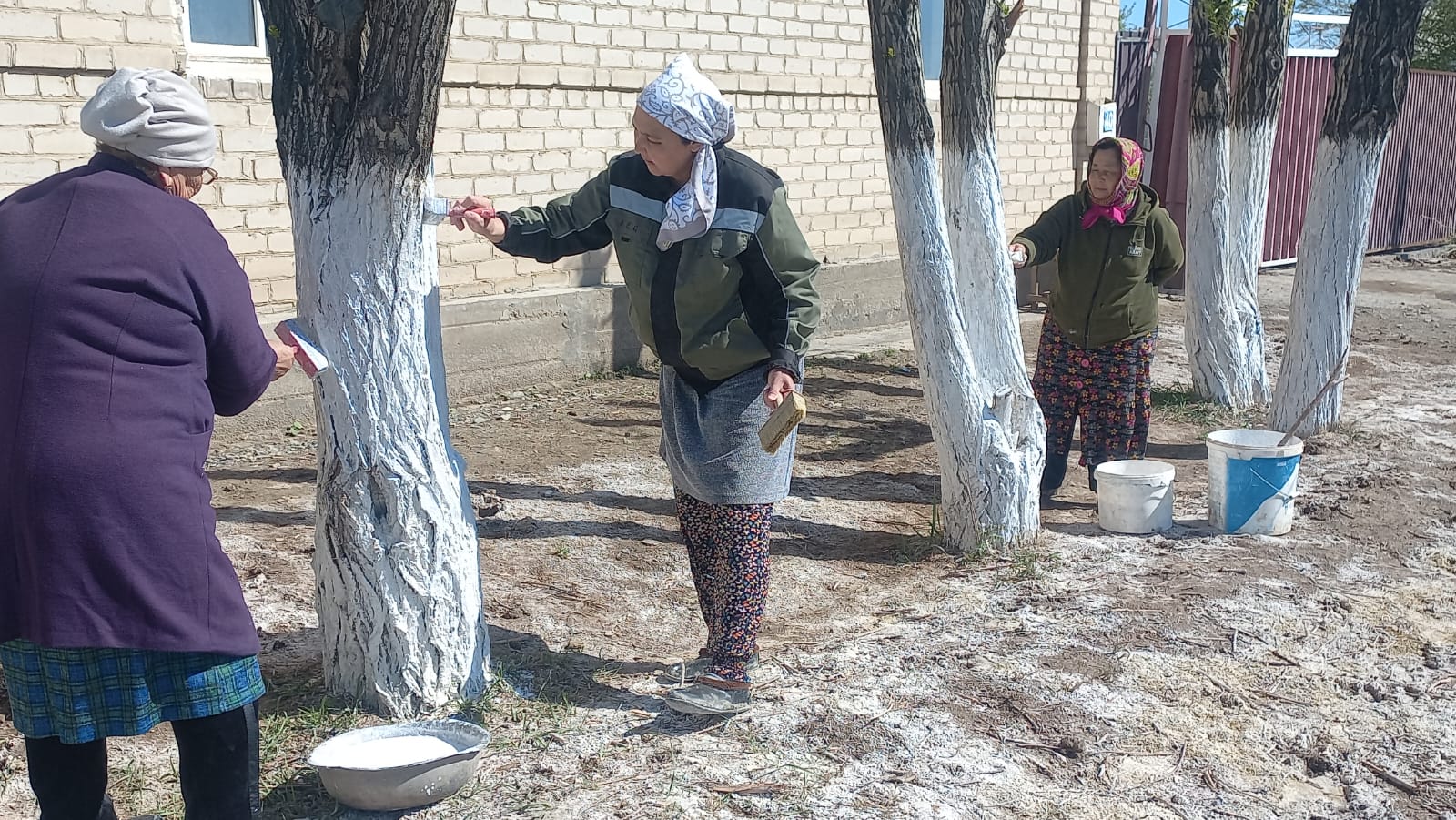 ТАЗАЛЫҚ ӘР АУЛАДАН БАСТАЛАДЫ...