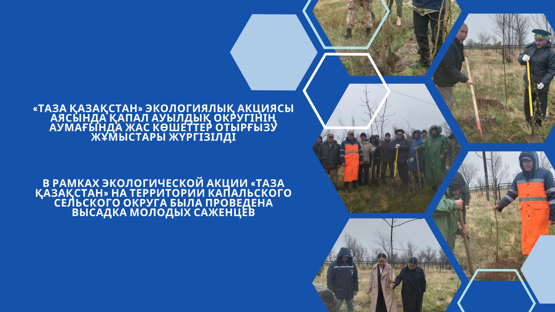 «Таза Қазақстан» экологиялық акциясы аясында Қапал ауылдық округінің аумағында жас көшеттер отырғызу жұмыстары жүргізілді