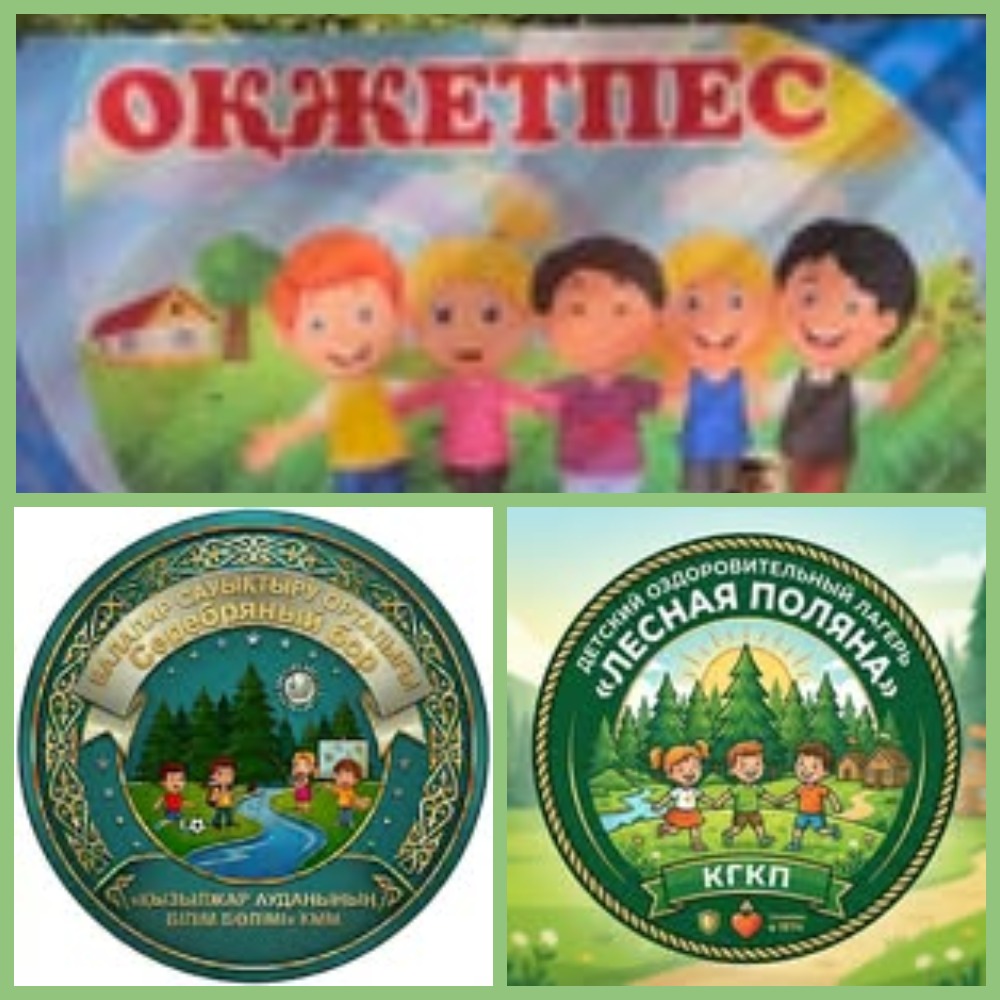 Маусымдық лагерьлердің қызметі лицензияланатын болады