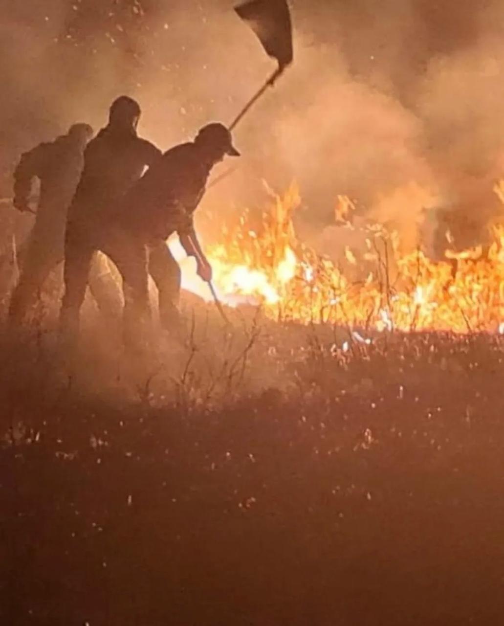 Құрметті қала тұрғындары және шаруа қожалықтарының басшылары!