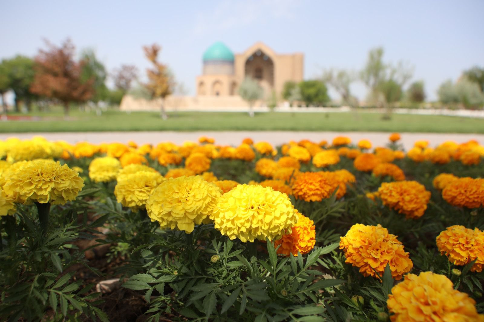 ТҮРКІСТАНДА АБАТТАНДЫРУ ЖӘНЕ КӨГАЛДАНДЫРУ ЖҰМЫСТАРЫ ЖҮЙЕЛІ ТҮРДЕ ЖҮРГІЗІЛУДЕ