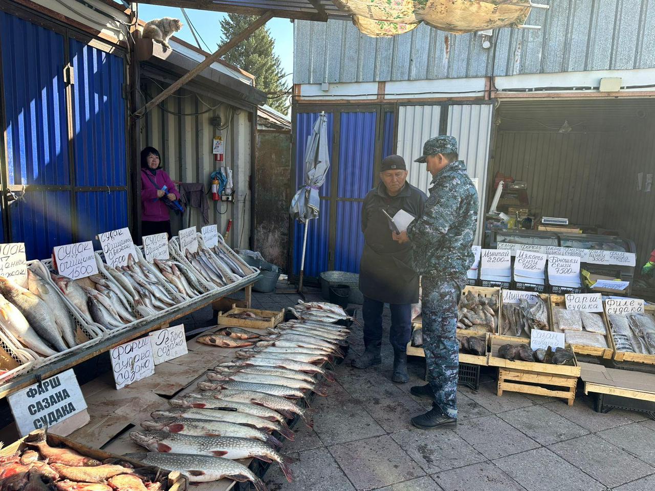 ШҚО-да «Уылдырық шашу» ЖПІШ-тің алғашқы нәтижелері қорытындыланды