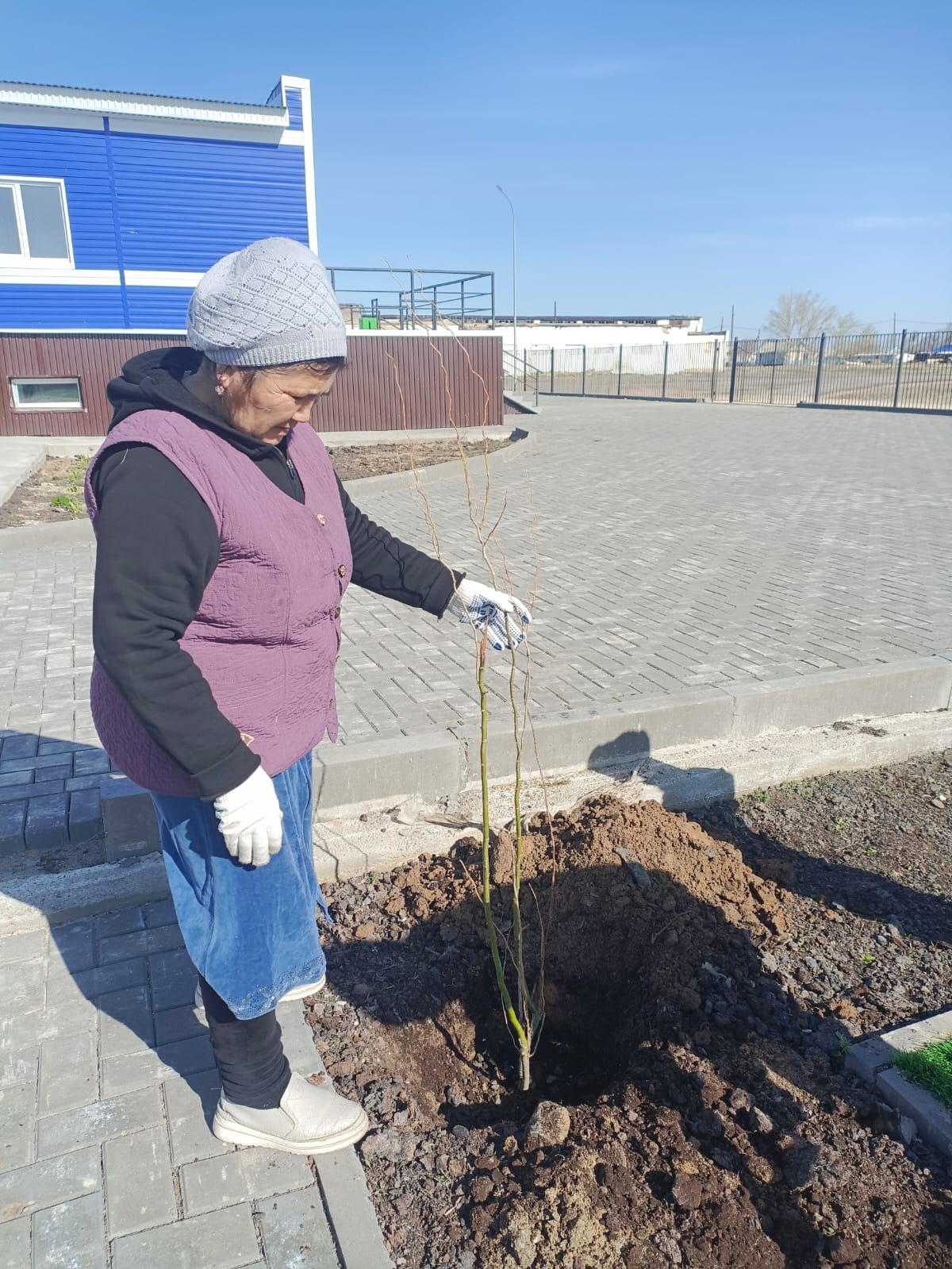 Сенбілік жалғасуда