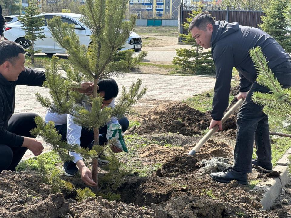 Алға ауданы жасыл желекке бөленуде