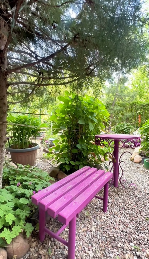 ҚАЛА КӨРКІ МЕН ЖАЙЛЫЛЫҒЫ: ҮЛГІ БОЛАРЛЫҚ ҮЙДІҢ АУЛАСЫНДАҒЫ БІР КҮН