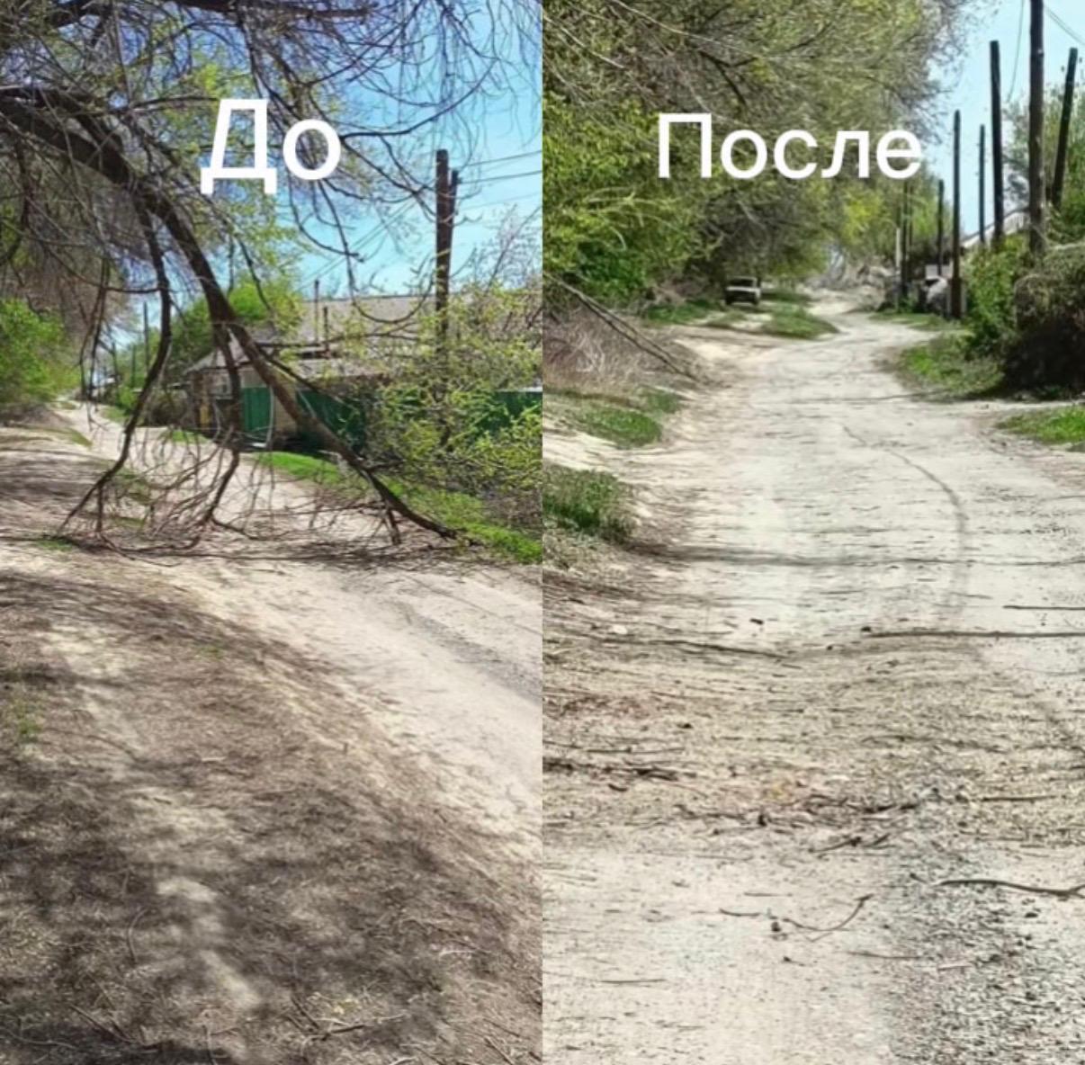 Үштөбе қаласы, Жолбарыс батыр шағын көшесі бойында құлаған бұтақ алынды.