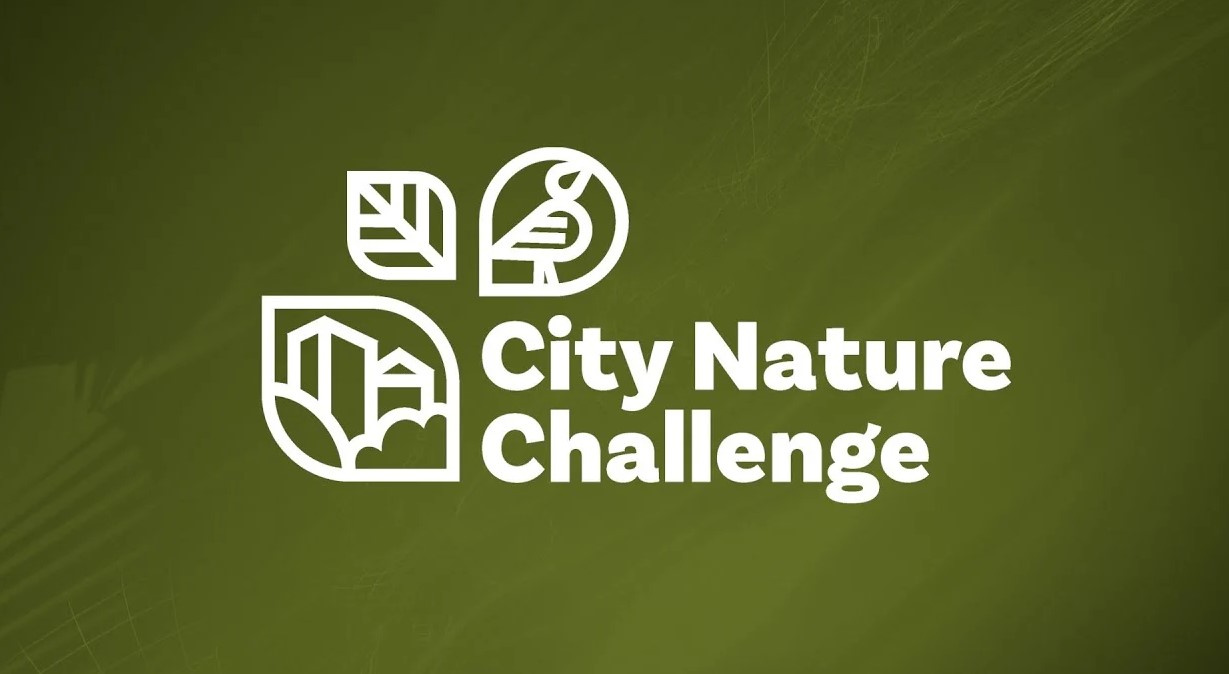 Караганда присоединится к международной акции City Nature Challenge