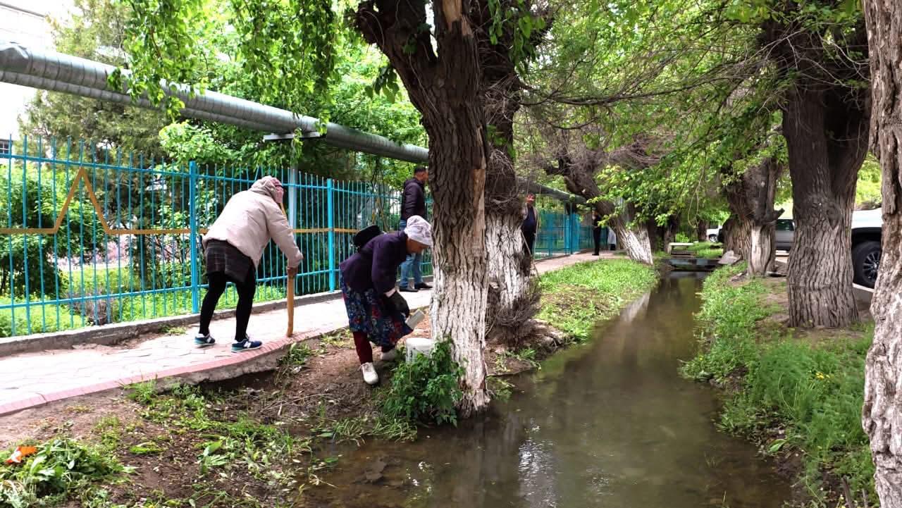ТАЗА АУЛА АКЦИЯСЫ – ТАЗАЛЫҚҚА БІРГЕ ҚАДАМ!
