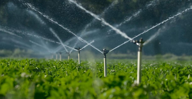 Су тұтыну артатын кезеңде суды ұтымды пайдалануды ынталандыру шаралары