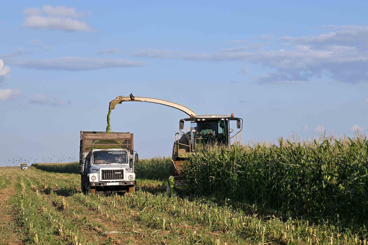В области Абай начались весенние полевые работы