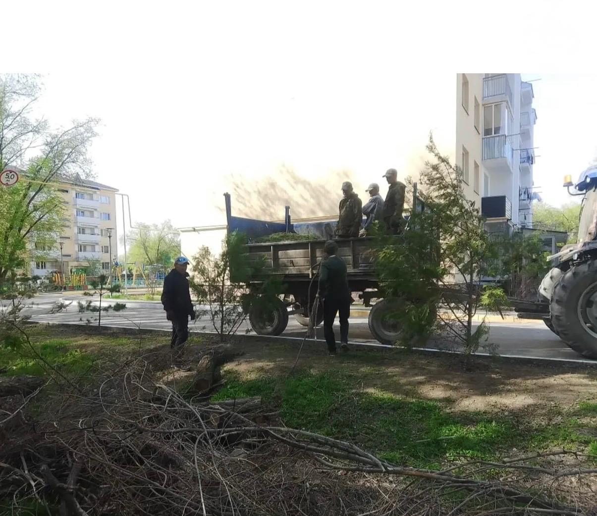 Санитарлық тазалық жұмыстары