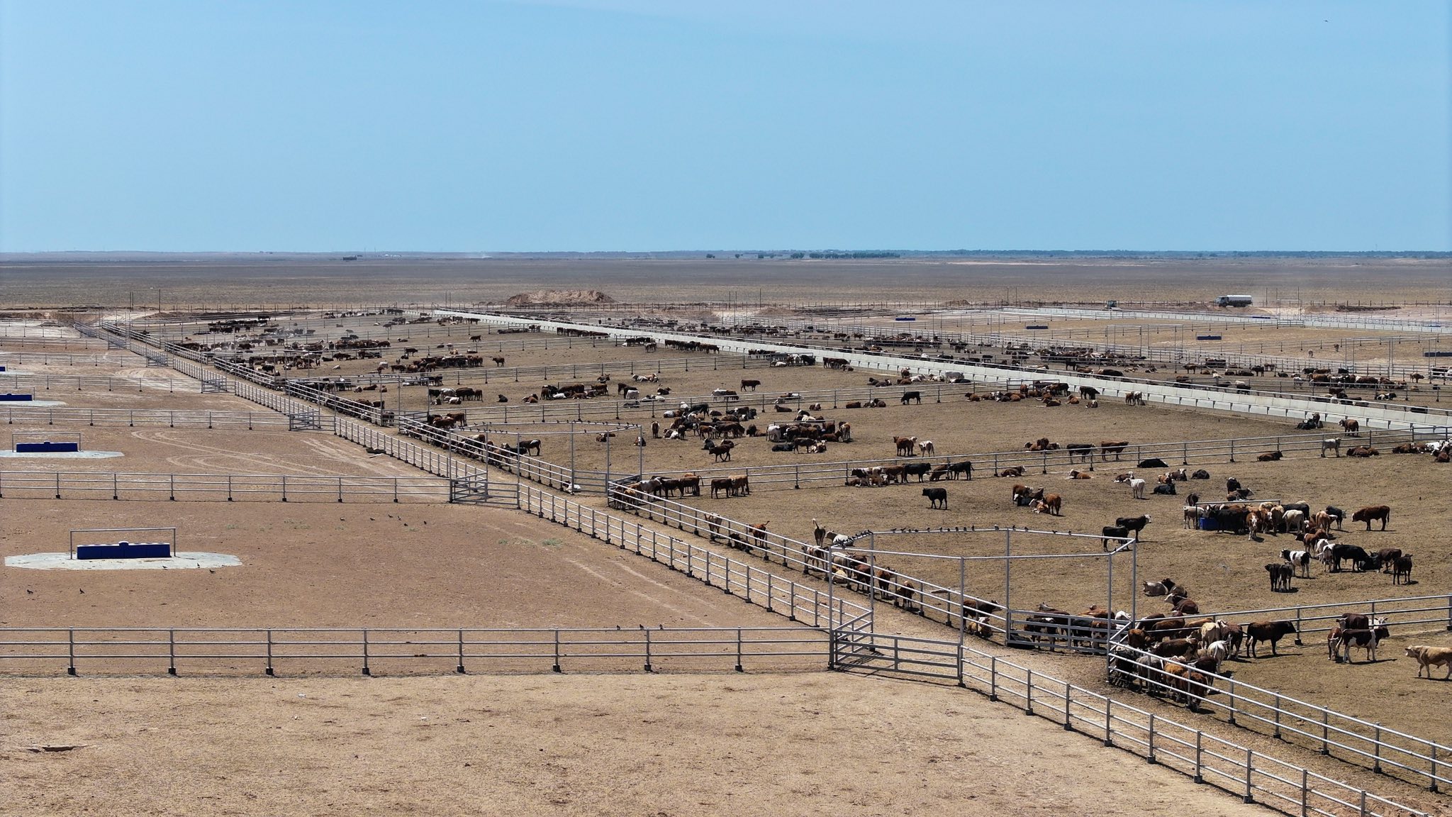 ТҮРКІСТАН ОБЛЫСЫНДА 50 МЫҢ БАСҚА АРНАЛҒАН АУҚЫМДЫ ФЕРМА САЛЫНУДА