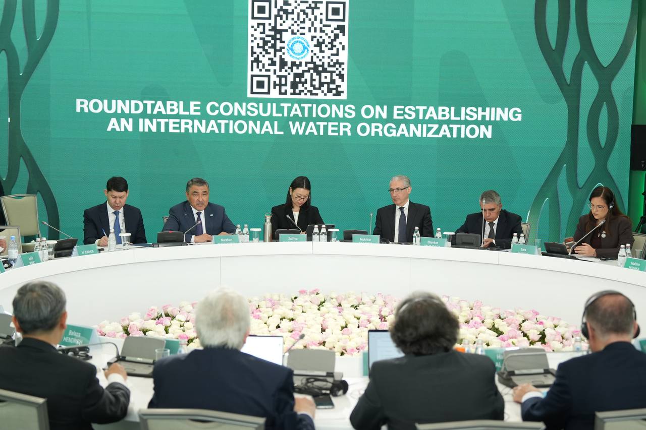Қазақстандық және шетелдік сарапшылар БҰҰ аясында Халықаралық су ұйымын құру бойынша консультацияларды бастады