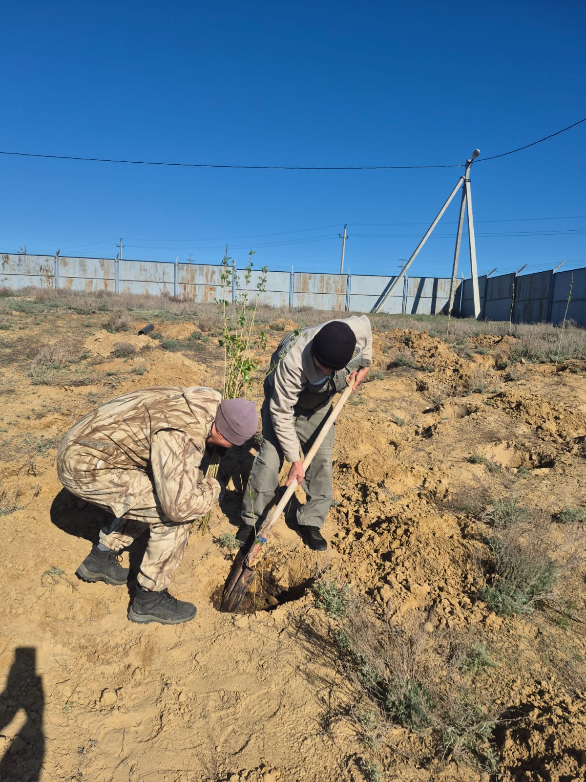 тал егу жұмыстары жүргізілді