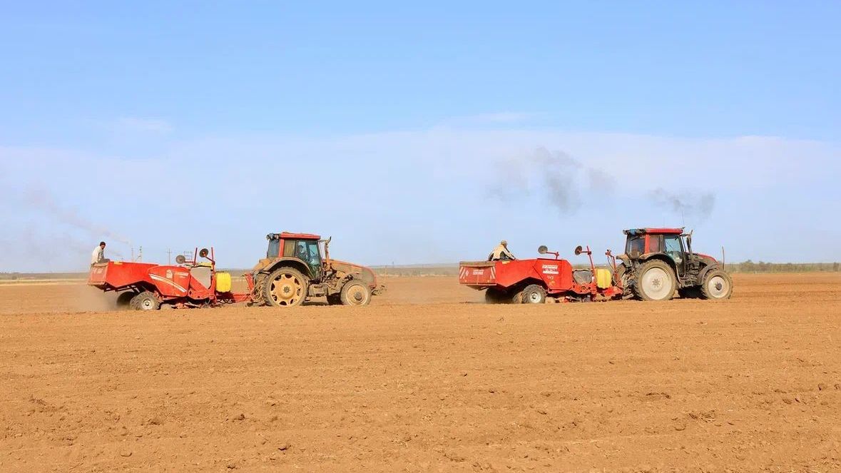 Развитие сельского хозяйства: в Карагандинской области растёт число проектов в АПК