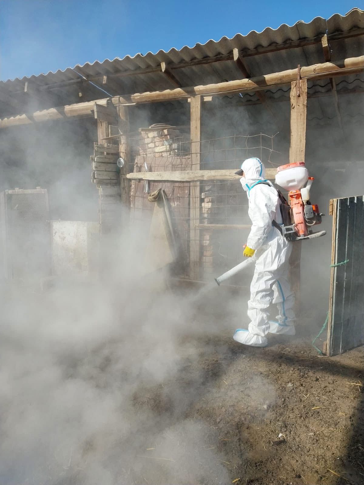 Конго-Қырым геморрагиялық қызбасының табиғи ошағында орналасқан елді мекендерде кенеге қарсы залалсыздандыру жұмыстары басталды