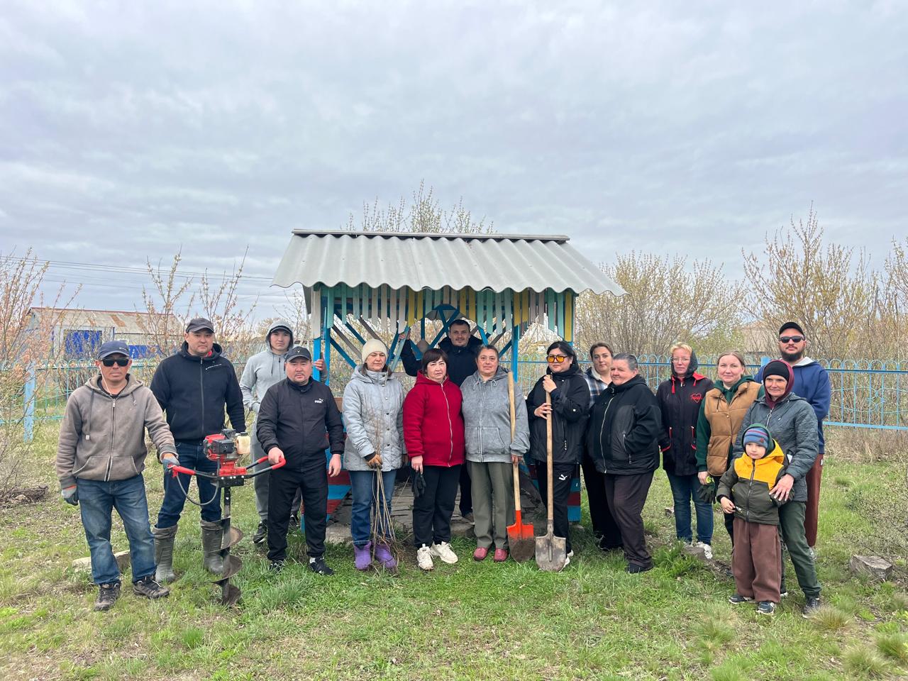 Ауыл жасылға айналуда: "Таза Қазақстан" акциясы аясында 100 жаңа қайың 🌿