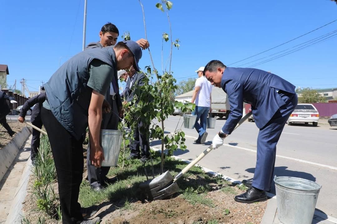 ”ТАЗА ӨЛКЕ – ЖАЛАҒАШ” ЭКОЛОГИЯЛЫҚ АКЦИЯСЫ ӨТТІ