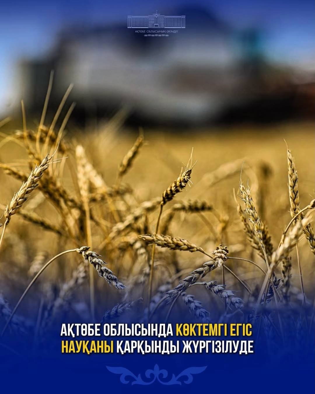 Ақтөбе облысында көктемгі егіс науқаны қарқынды жүргізілуде