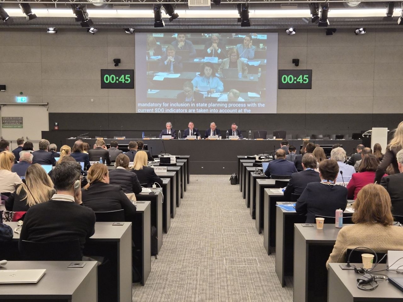 Қазақстан БҰҰ-ның Женевадағы өңірлік форумында ОДМ іске асыру тәжірибесін ұсынды