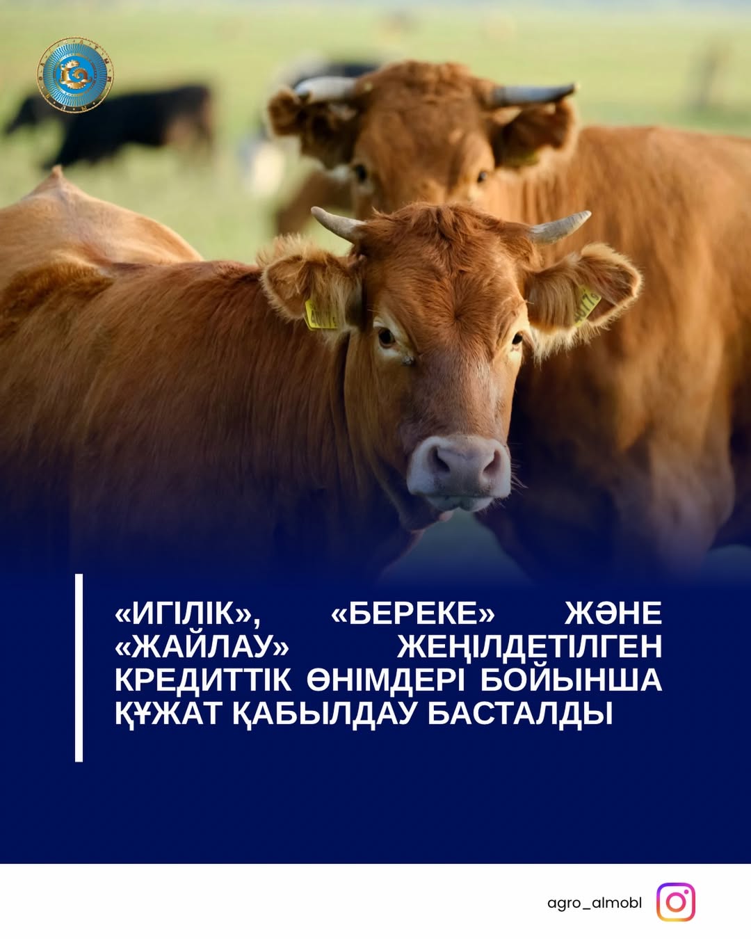 📢 НАЗАР АУДАРЫҢЫЗДАР!