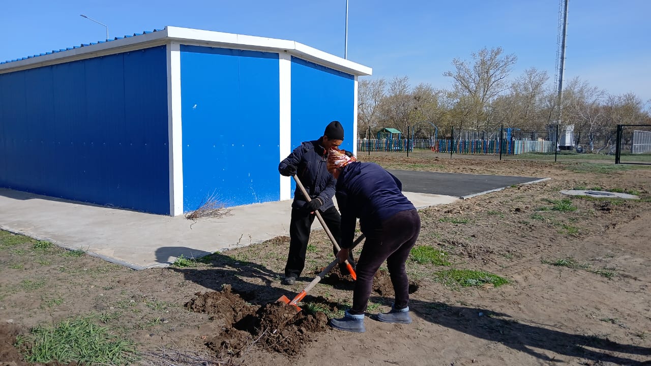 Елді мекенді көгалдандыру - тұрақты дамуға қосқан үлес