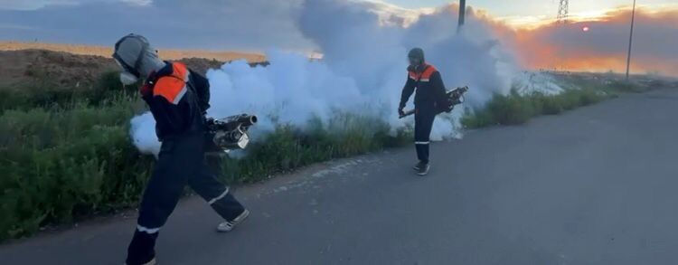 Борьба с комарами и мошками: первый тур дезинсекционных работ стартовал в Астане