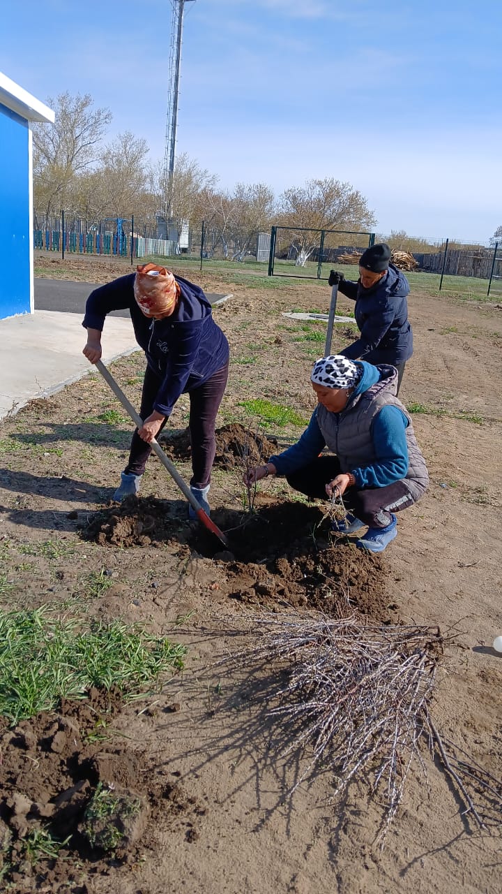 Әлемді жасылдандырайық