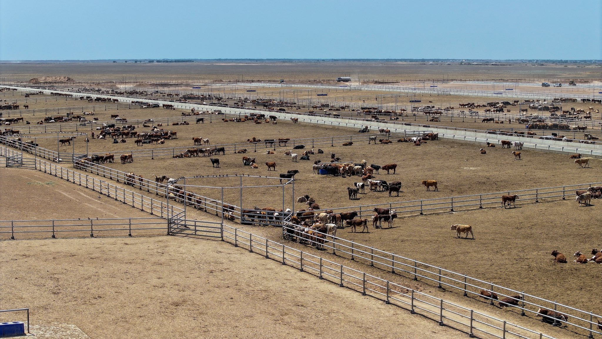 Түркістан облысында 50 мың бас ірі қараға арналған бордақылау кешені 2026 жылдың шілде айында пайдалануға беріледі