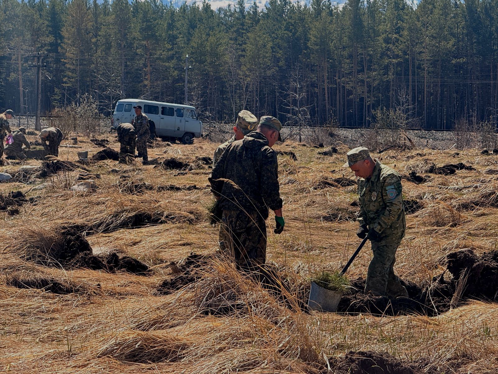 В Риддере высадили более 20 тысяч деревьев