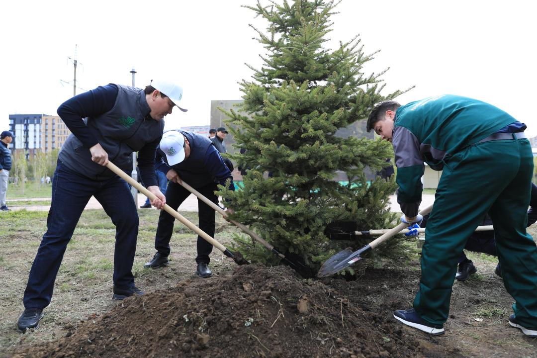 Ақтөбе өңірі республикалық ағаш отырғызу акциясына қолдау білдірді