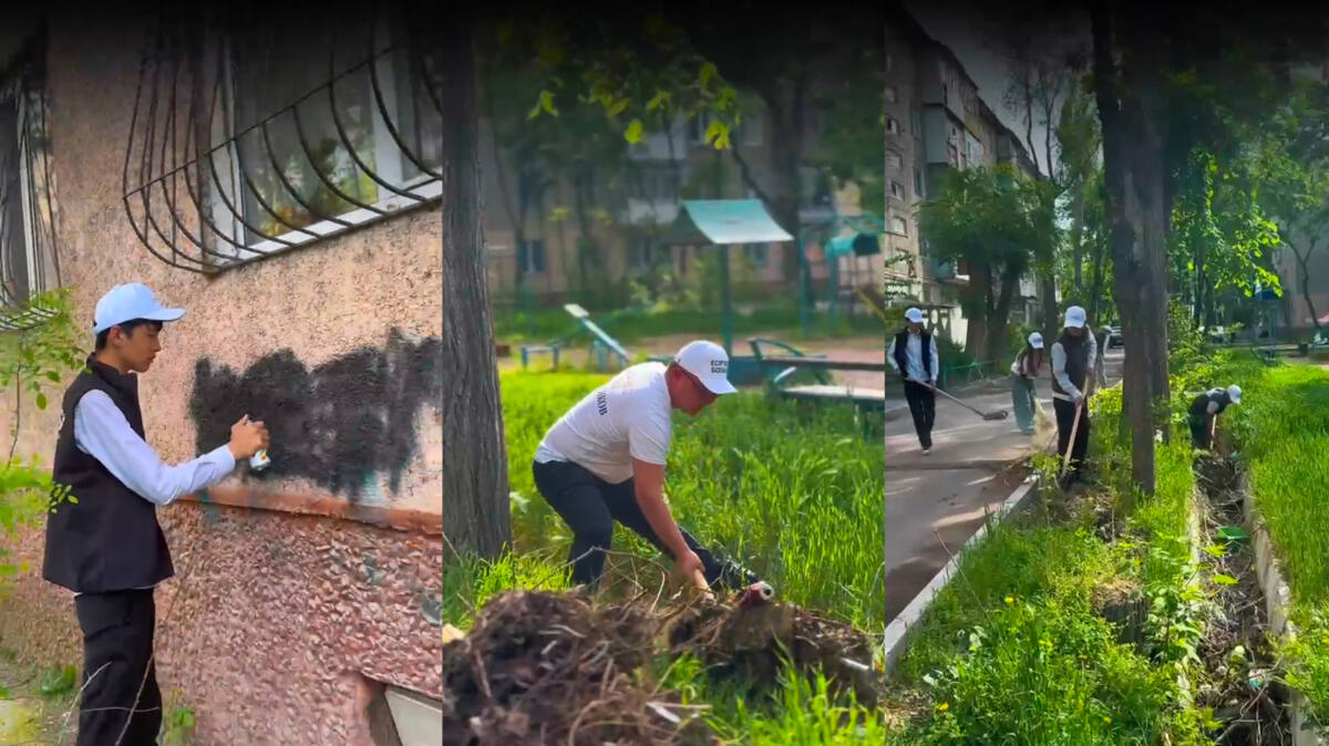 "Таза Қазақстан — есірткісіз өмір": Таразда есірткіге қарсы тазалық акциясы өтті