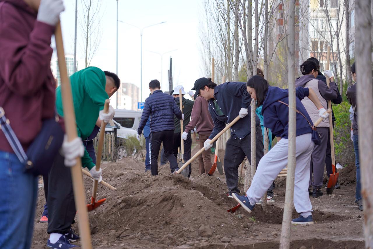 Елордалық ауданда белсенді тұрғындар 350-ден астам ағаш отырғызды