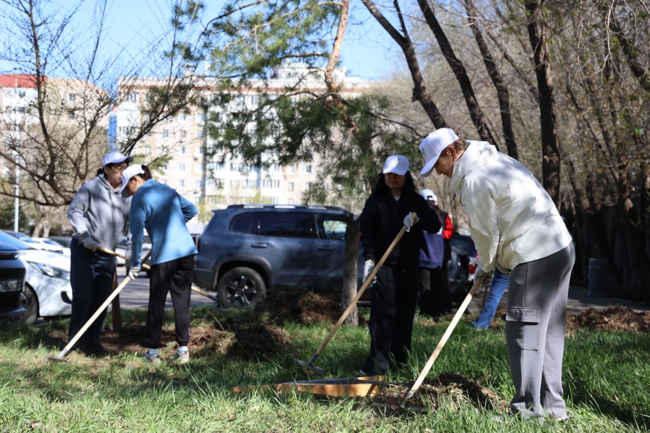 Астанада «Таза Қазақстан» акциясы жалғасуда: шығармашылық ұжымдар экоакцияға қосылды